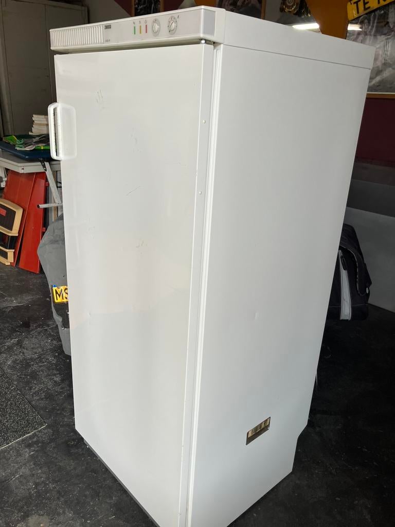 Diepvries kast, Witgoed en Apparatuur, Koelkasten en IJskasten, Ophalen, Gebruikt, 200 liter of meer, 60 cm of meer