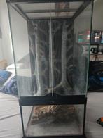 Exo Terra terrarium 60h x 30 x 30, Ophalen, Zo goed als nieuw, Terrarium of Paludarium