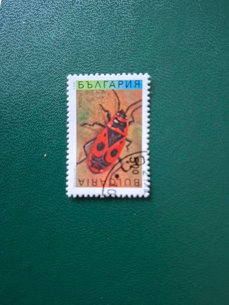 Insect. Kever. Bulgarije, Ophalen of Verzenden, Sport