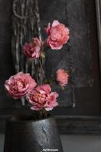 BRYXNZ zijdebloem ranonkel roze, Www.jufbrocante.nl, Www.jufbrocante.nl, Nieuw, Ophalen of Verzenden