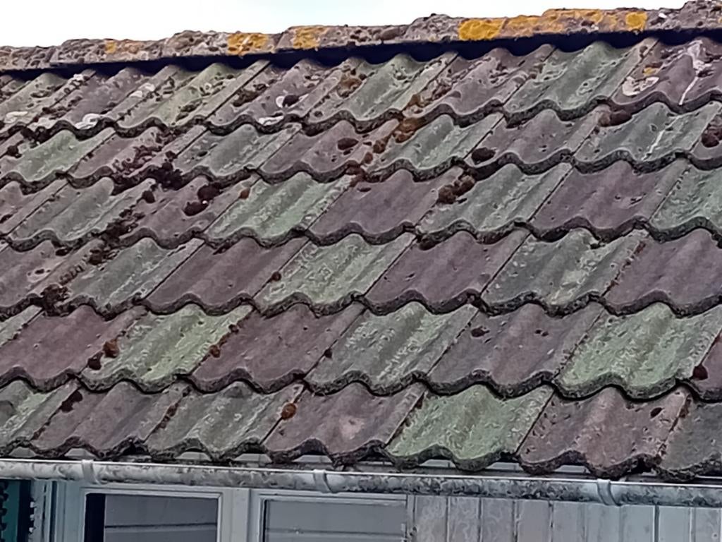 Dakpannen gratis, Ophalen, Steen of Klei, 15 m² of meer, Dakpannen