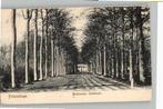 Princenhage Beukenlaan Liesbosch 1903, Verzenden, Voor 1920, Ongelopen, Noord-Brabant