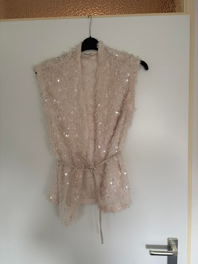 Gilet met lovertjes, Ophalen of Verzenden, Zo goed als nieuw, Maat 38/40 (M), Overige kleuren