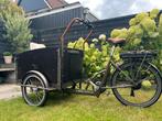 Elektrische bakfiets Troy, Fietsen en Brommers, Fietsen | Bakfietsen, 4 kinderen of meer, Huif, Zo goed als nieuw, Ophalen