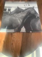 Canvas foto twee paarden 50x50 cm, Ophalen of Verzenden, Zo goed als nieuw, Foto of Poster, Minder dan 50 cm