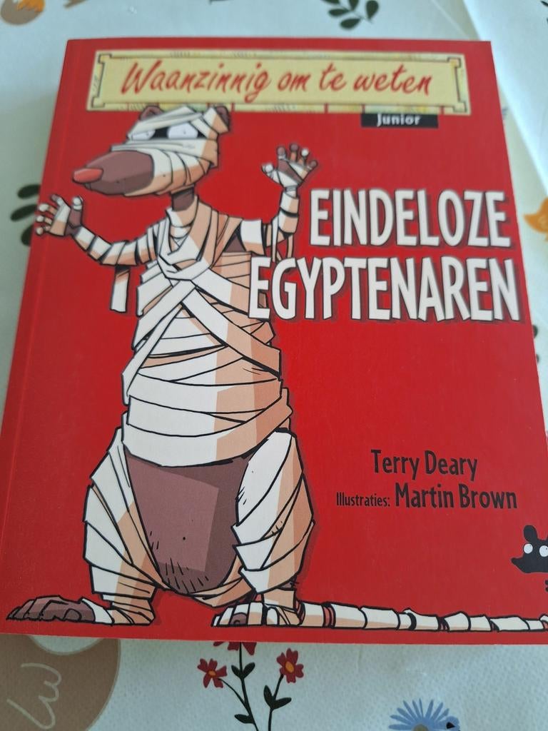 Terry Deary - Eindeloze Egyptenaren, Non-fictie, Ophalen of Verzenden, Zo goed als nieuw, Terry Deary