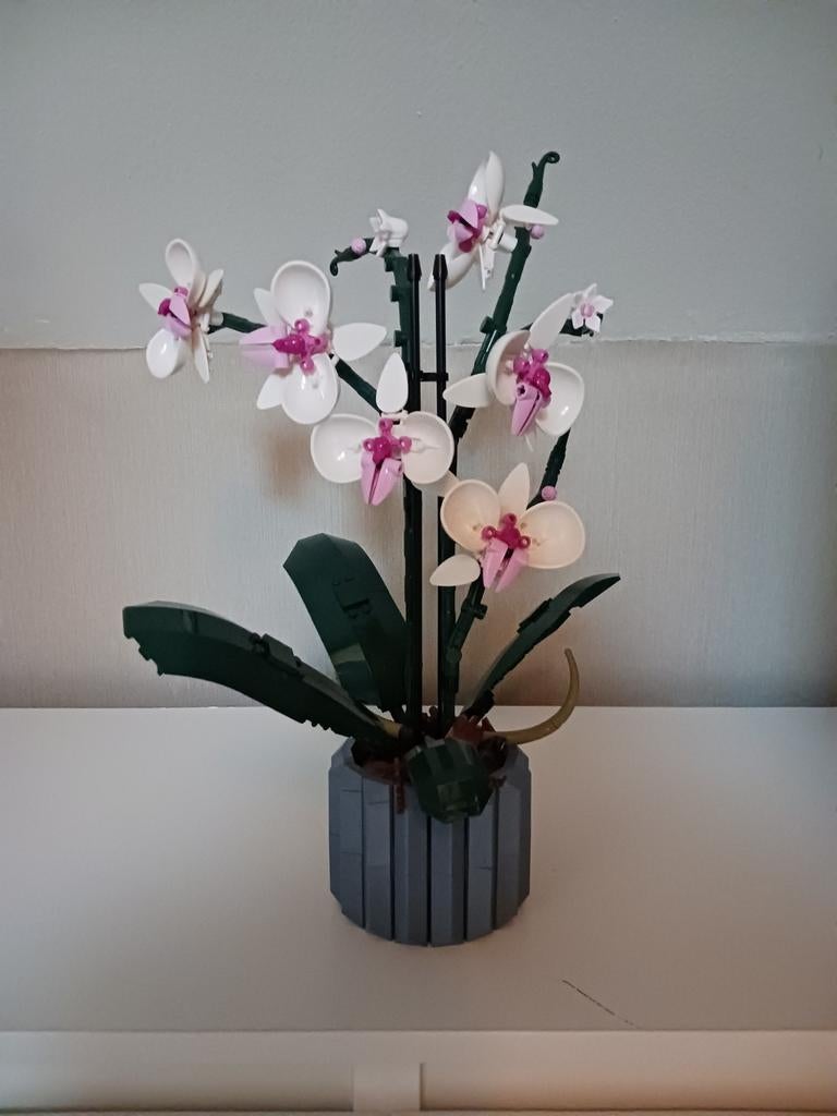 Lego Orchidee, Ophalen