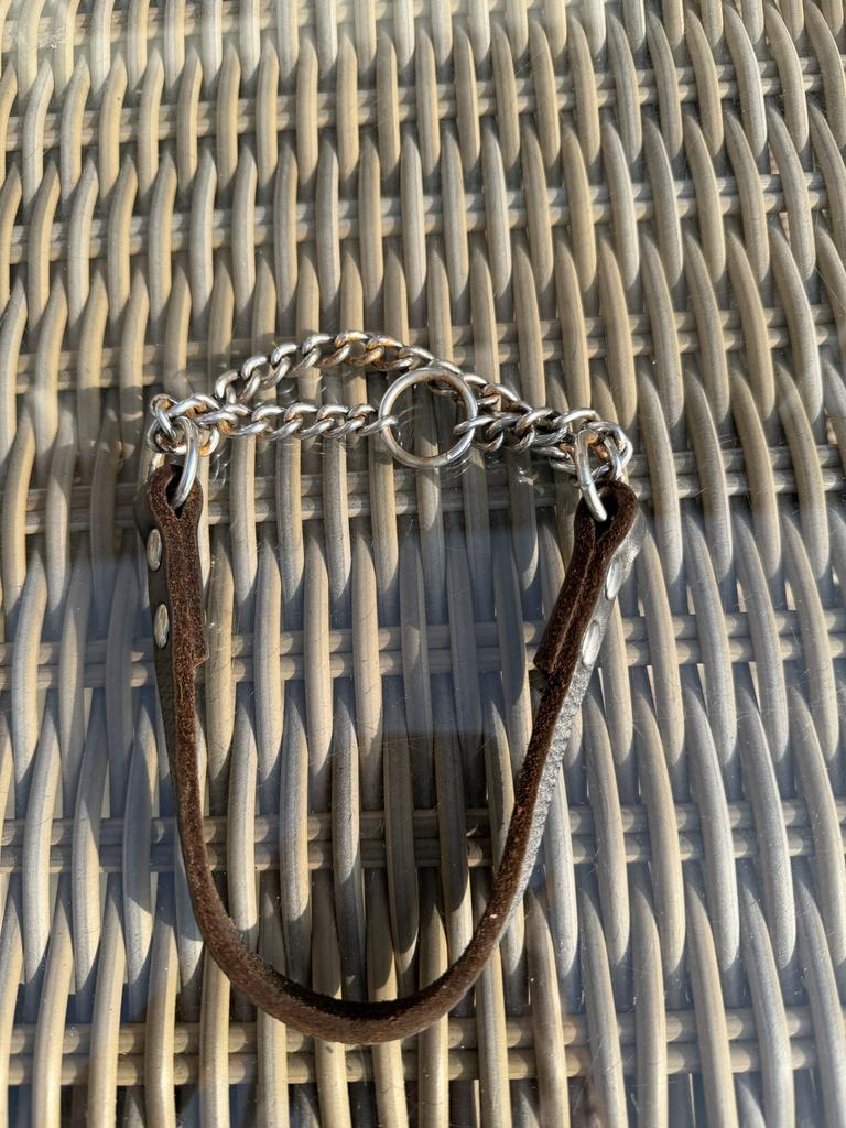 Halsband, Dieren en Toebehoren, Ophalen of Verzenden, Zo goed als nieuw