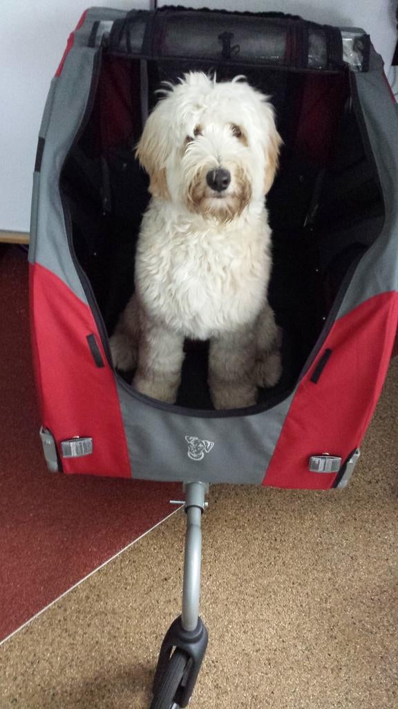 Doggy ride., Ophalen