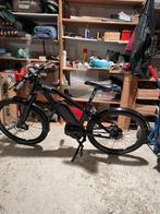 Speed pedelec Grace ( zonder jenteken ), Fietsen en Brommers, Elektrische fietsen, 51 tot 55 cm, Ophalen, Zo goed als nieuw, Overige merken