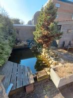 Vijver met toebehoren en pompen, Tuin en Terras, Ophalen of Verzenden