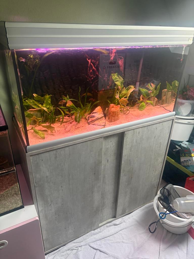 Aquarium, Dieren en Toebehoren, Vissen | Aquaria en Toebehoren, Ophalen of Verzenden, Zo goed als nieuw, Leeg aquarium