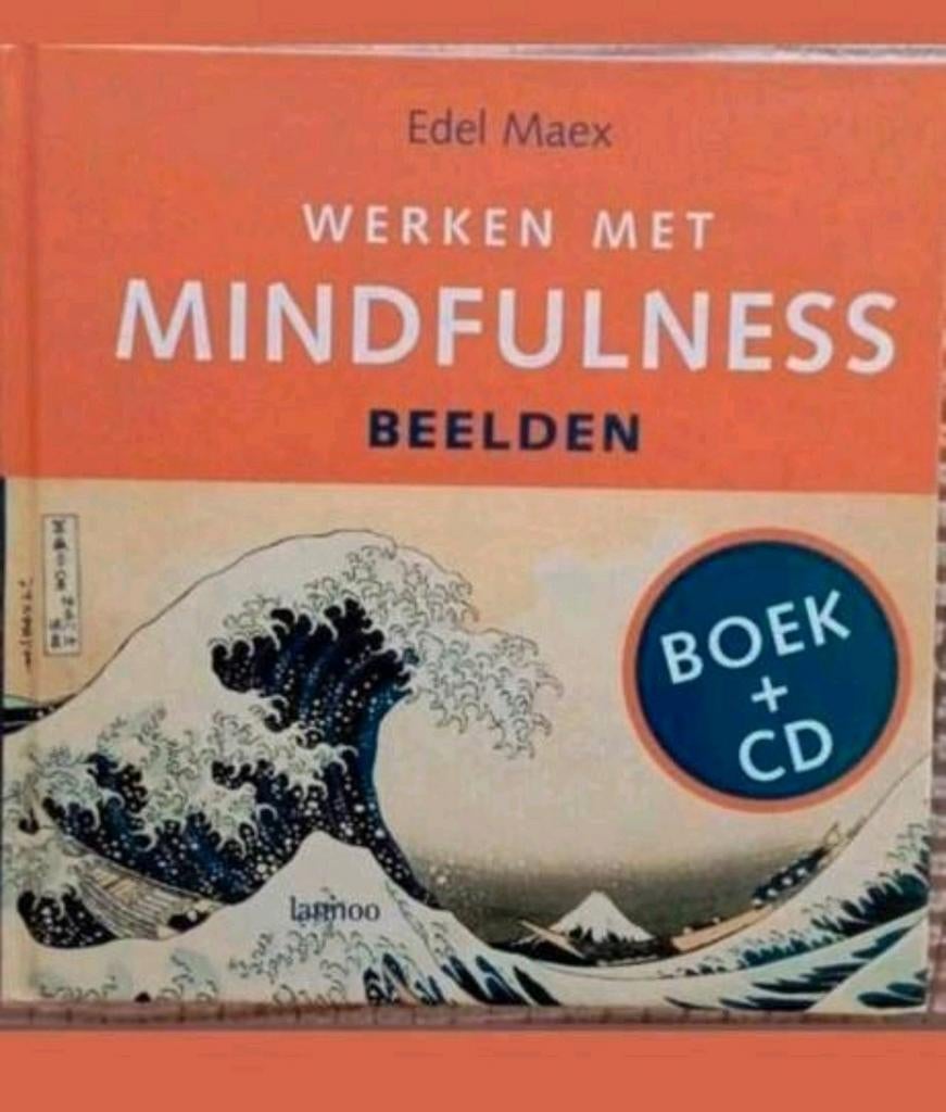 Mindfulness boek plus CD, Ophalen of Verzenden, Zo goed als nieuw, Overige onderwerpen