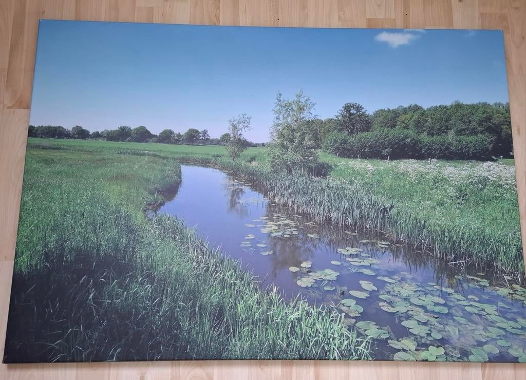 Dortherbeek Epse op canvas 100x70x2 cm, Ophalen, 50 tot 75 cm, 75 tot 100 cm, Print