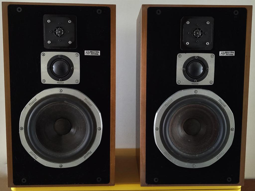 Magnat All Ribbon 10P gereviseerd, nieuwe Visaton tweeters, Audio, Tv en Foto, Luidsprekers, Gebruikt, Magnat, Ophalen of Verzenden