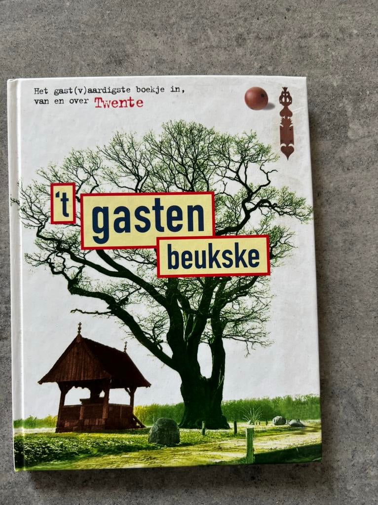 T gasten beukske Twente), Boeken, Geschiedenis | Stad en Regio, Ophalen of Verzenden, 20e eeuw of later, Nieuw