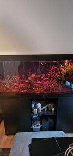 Juwel Rio 450 incl Chihiros 1500 LED en fluval 407, Ophalen, Zo goed als nieuw, Leeg aquarium