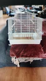 Vogelkooi, Dieren en Toebehoren, Ophalen, Metaal, Vogelkooi