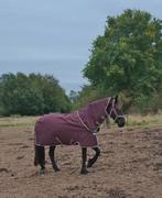 Amigo Horseware 50g + 0g hals, Dieren en Toebehoren, Ophalen