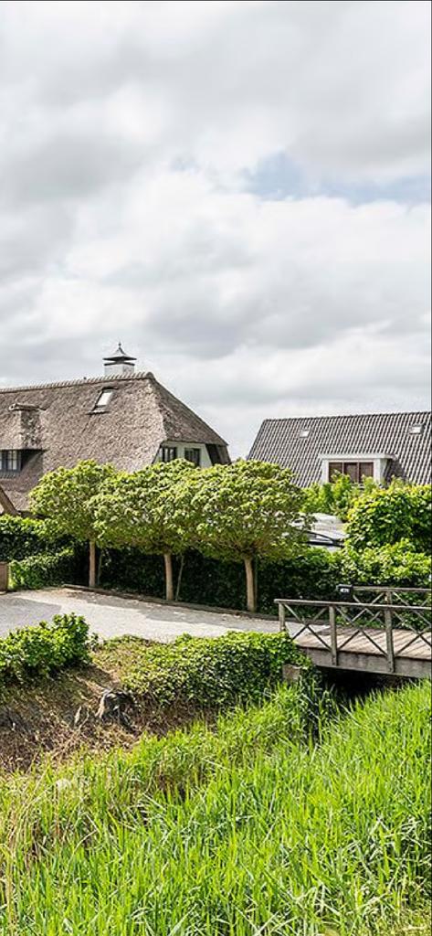 GRATIS BOMEN 3x Leilinde (Tilia) / dakbomen, Tuin en Terras, Planten | Bomen, Ophalen, Volle zon