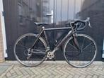 Focus Cayo racefiets - full carbon - Ultegra - maat L 56cm, Gebruikt, Carbon, Heren, Overige maten