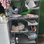 2 lieve fretten rammetjes, Dieren en Toebehoren, Ophalen of Verzenden, Zo goed als nieuw, Kooi