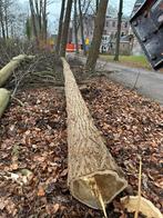 Acacia boomstam recht 12 meter, Ophalen