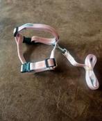 NIEUW volwassen kattentuigje in maat verstelbaar + riem, Dieren en Toebehoren, Ophalen of Verzenden, Nieuw