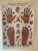Reflexzonen Hand en Voet Poster, Ophalen, Zo goed als nieuw, Overige typen