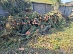 Wilgen hout, Tuin en Terras, Haardhout, 6 m³ of meer, Ophalen, Overige houtsoorten, Stammen