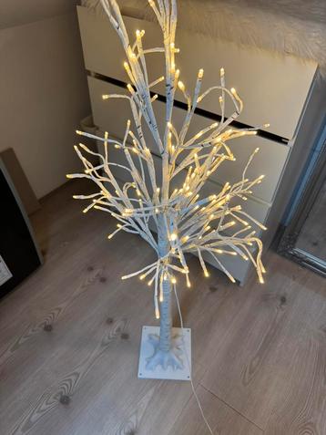 Licht
