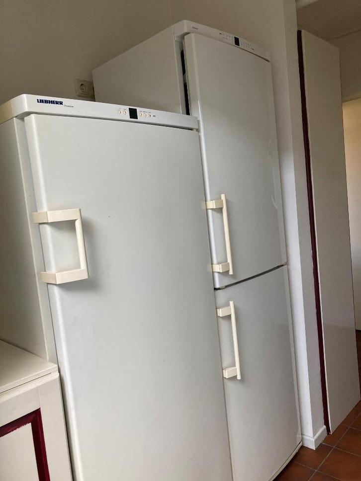 Diepvries Liebherr laden kast en koelkast vriezer combinatie, Witgoed en Apparatuur, Vriezers en Diepvrieskisten, Gebruikt, Vrijstaand