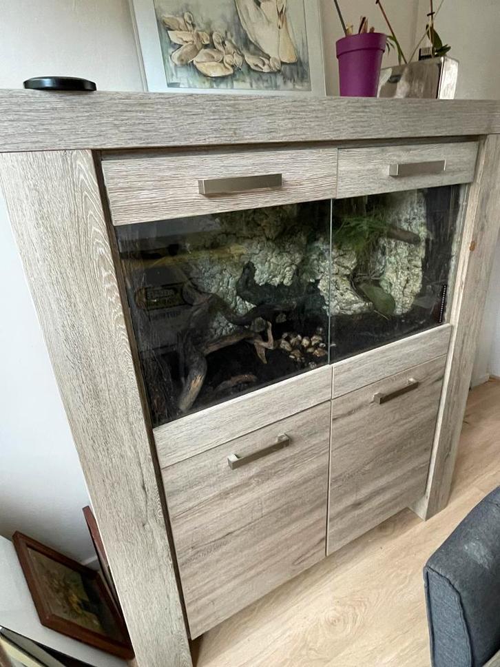 Groot zelfgemaakt terrarium in moderne kast, Dieren en Toebehoren, Reptielen en Amfibieën | Toebehoren, Terrarium of Paludarium