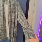 Rabe vestje dun materiaal grijs tinten openvallend 46 48289, Kleding | Dames, Truien en Vesten, Rabe, ., Maat 42/44 (L), Ophalen of Verzenden