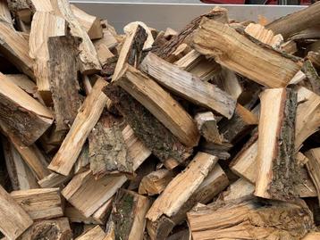 Eiken Brandhout Kachelhout Haardhout v.a. € 125,00 m3 Goirle beschikbaar voor biedingen