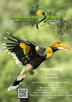 Vogels gevraagd, Dieren en Toebehoren, Meerdere dieren, Tropenvogel