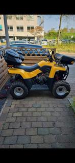Masai 300cc quad met kenteken.