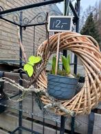 Krans met bloembollen en decoratie, Ophalen, Overige soorten, Halfschaduw