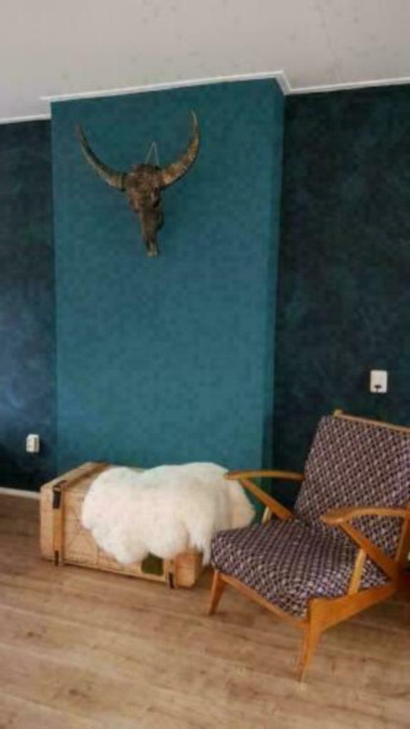 Grote nieuwe schapenvachten wit , gemêleerd en bruin schaap, Huis en Inrichting, Stoffering | Tapijten en Kleden, Nieuw, 100 tot 150 cm