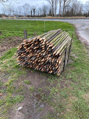 Boompalen 6cm, 180cm lang beschikbaar voor biedingen