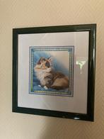 Leuke ingelijste prent van een poes - kat, Ophalen of Verzenden, Zo goed als nieuw, Foto of Poster