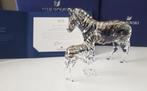 Swarovski 2021 Jaarstuk Zebra's Amai en SCS Baby Zebra Zuri, Swarovski@.com, Wattens, Nieuw, Ophalen of Verzenden