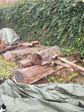Partij Hout - Stammen  beschikbaar voor biedingen