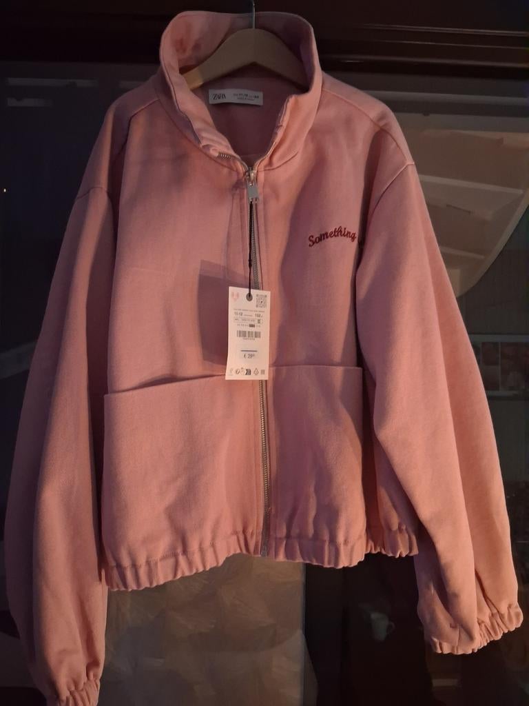 Roze Zara jas maat 152, Ophalen, Nieuw, Zara, Meisje