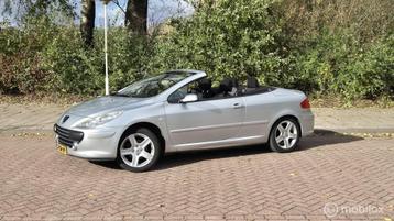 Peugeot 307 CC 2.0-16V automaat beschikbaar voor biedingen