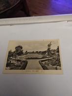 BOSKOOP. 1953. "VIFOR"  PARK, Ophalen of Verzenden, 1940 tot 1960, Zuid-Holland