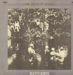 LP Seldom Scene - Baptizing (bluegrass), Ophalen, Gebruikt, 12 inch