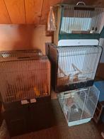 tentoonstelling kooitjes, Ophalen, Hout, Vogelkooi