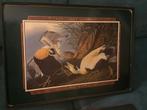 Jason Placemats John James Audubon, Ophalen of Verzenden, Nieuw, Overig