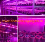 Groeilamp in ledstrip voor planten (1 meter), Kweeklamp, Verzenden, Nieuw, 64 Rue Waldeck-Rousseau 69006,Lyon